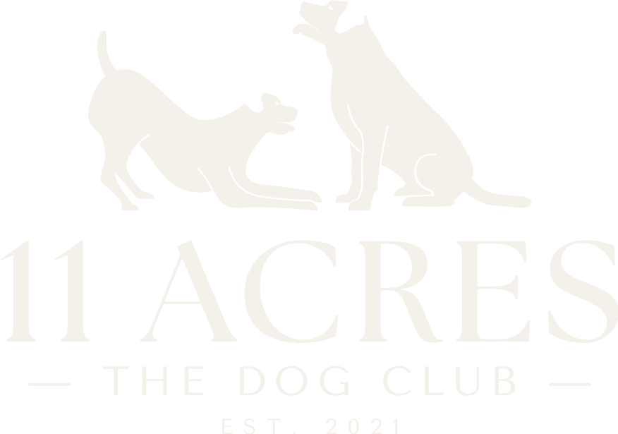 11 Acres | The Dog Club